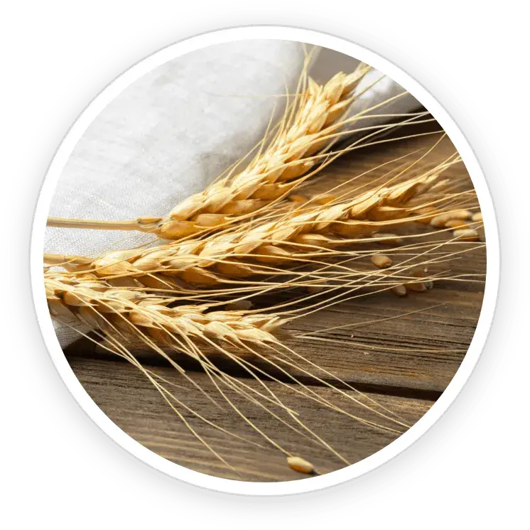 ingredient1-flowforce