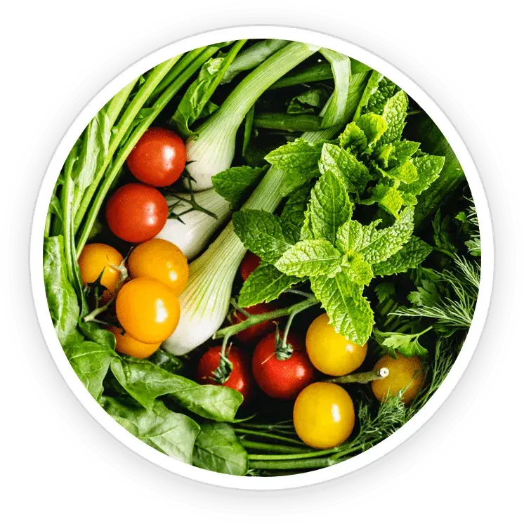 ingredient3-flowforce