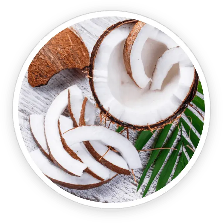 ingredient4-flowforce